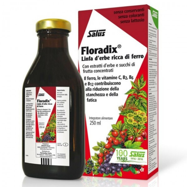 Floradix Jarabe de Hierro y Vitaminas 250ml
